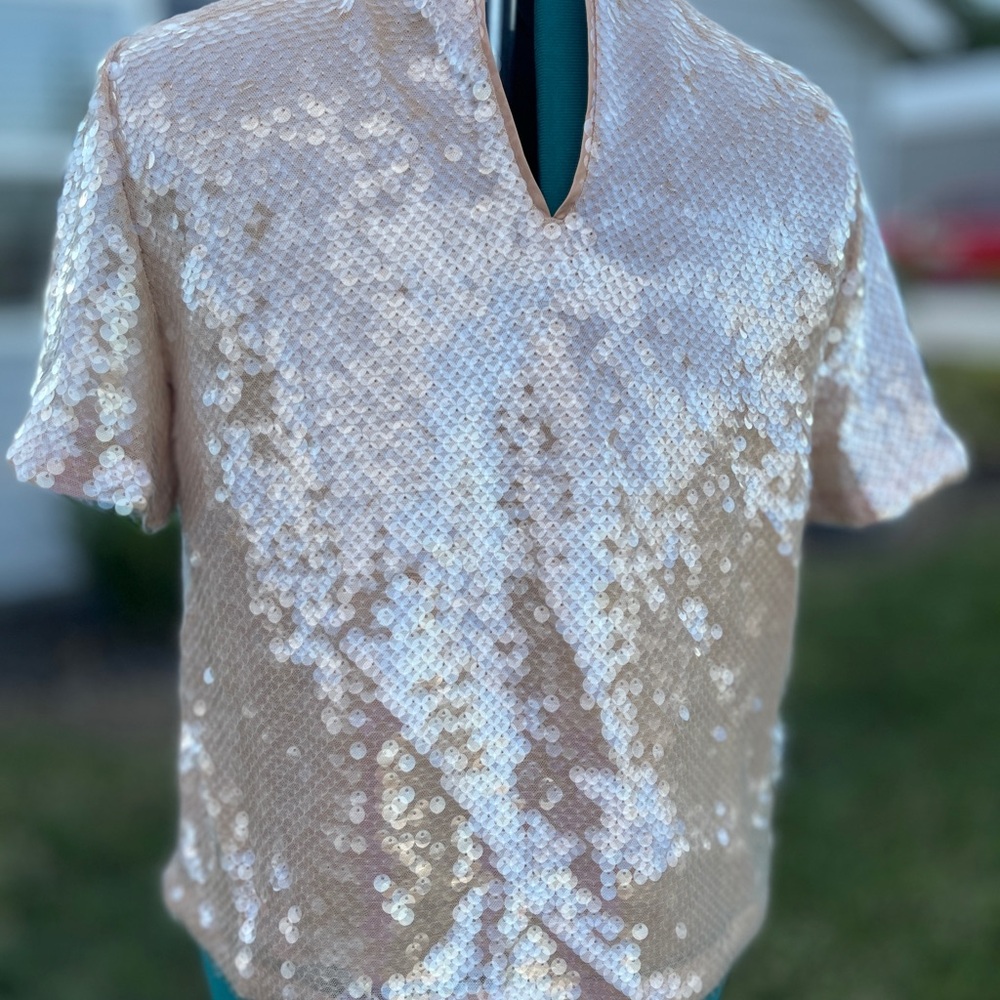 LOFT sequin Peach Blouse - Picture 7 of 9
